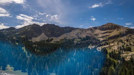 Alta: Alta (alta.com)