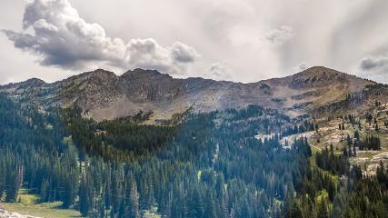 Alta: Alta (alta.com)