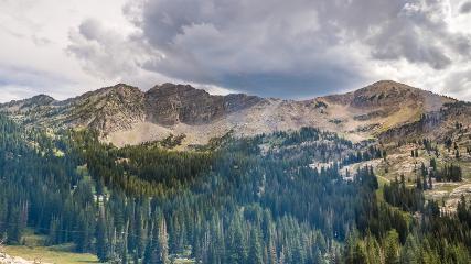 Alta: Alta (alta.com)