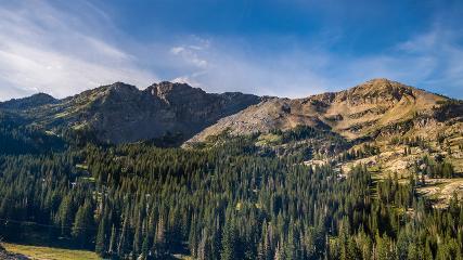 Alta: Alta (alta.com)