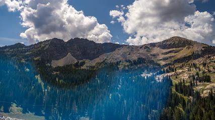 Alta webcam