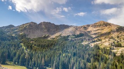 Alta: Alta (alta.com)