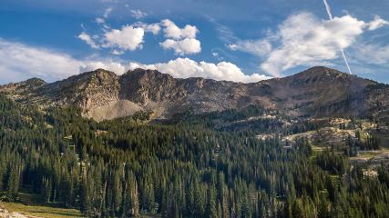 Alta webcam