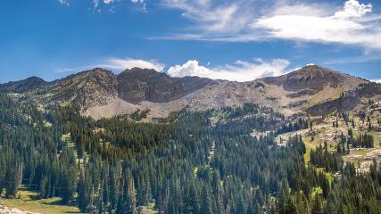 Alta: Alta (alta.com)