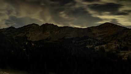 Alta: Alta (alta.com)