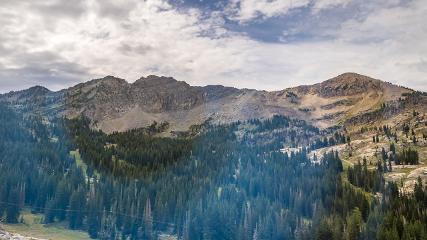 Alta: Alta (alta.com)