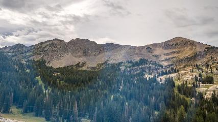 Alta: Alta (alta.com)
