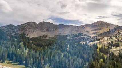Alta: Alta (alta.com)