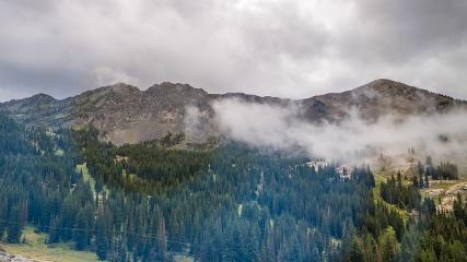 Alta: Alta (alta.com)