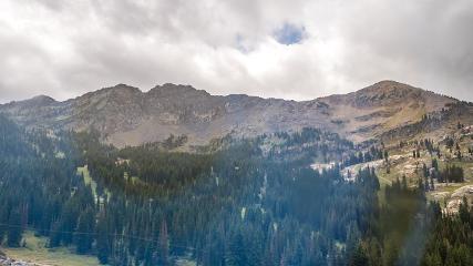 Alta: Alta (alta.com)