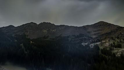 Alta: Alta (alta.com)
