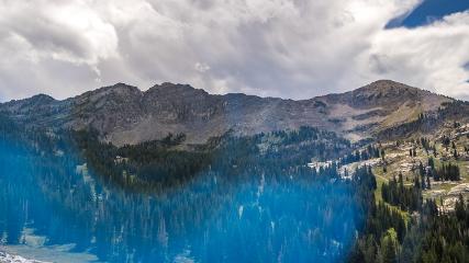 Alta: Alta (alta.com)