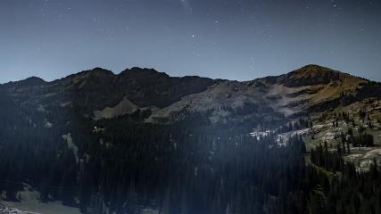 Alta: Alta (alta.com)