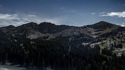 Alta: Alta (alta.com)