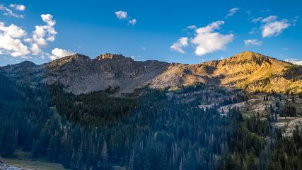 Alta: Alta (alta.com)