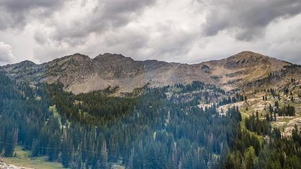 Alta: Alta (alta.com)