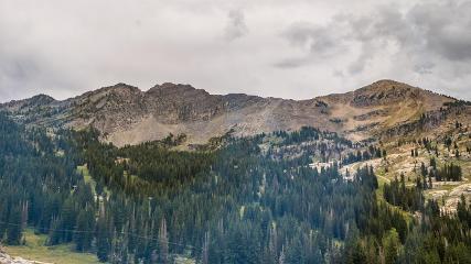 Alta: Alta (alta.com)