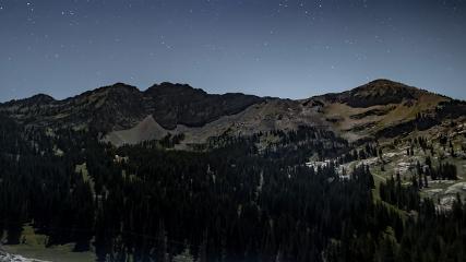 Alta: Alta (alta.com)
