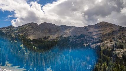 Alta: Alta (alta.com)