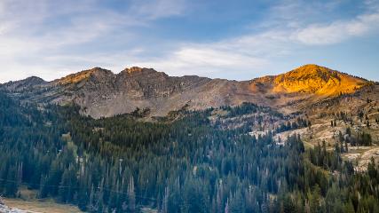 Alta: Alta (alta.com)