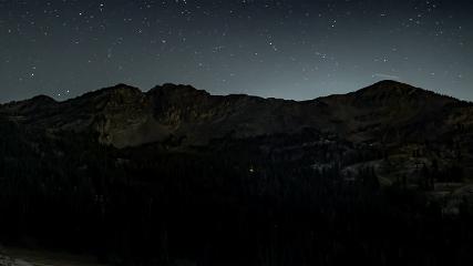 Alta: Alta (alta.com)