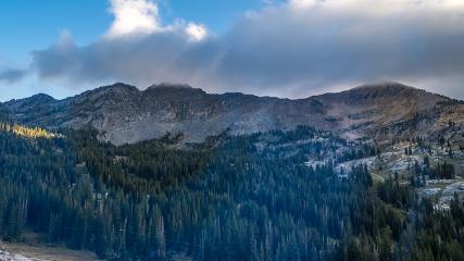 Alta: Alta (alta.com)