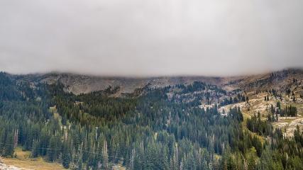 Alta: Alta (alta.com)