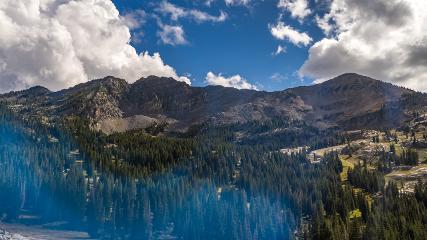 Alta: Alta (alta.com)