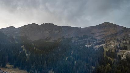Alta: Alta (alta.com)