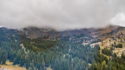 Alta: Alta (alta.com)