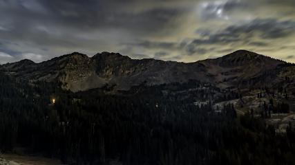 Alta: Alta (alta.com)