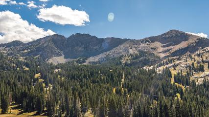 Alta webcam
