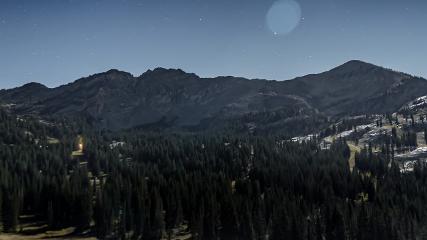 Alta: Alta (alta.com)
