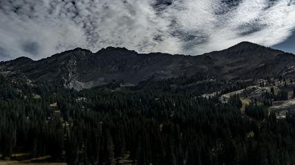 Alta: Alta (alta.com)
