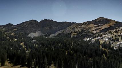 Alta: Alta (alta.com)