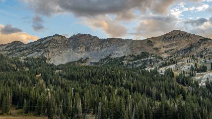 Alta: Alta (alta.com)