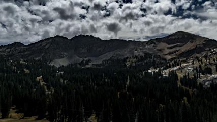 Alta: Alta (alta.com)