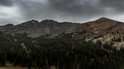 Alta: Alta (alta.com)