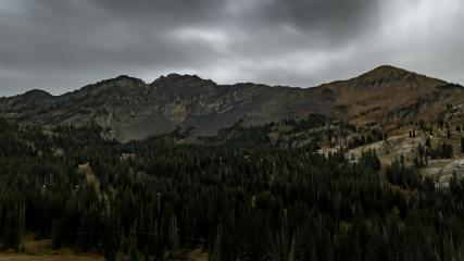 Alta: Alta (alta.com)