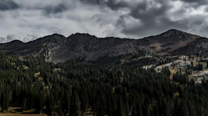 Alta webcam