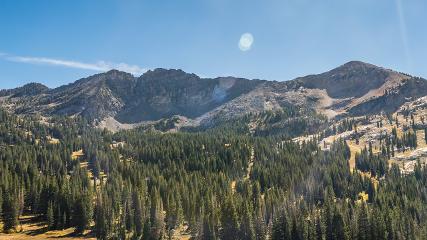 Alta: Alta (alta.com)