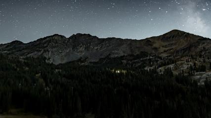 Alta: Alta (alta.com)
