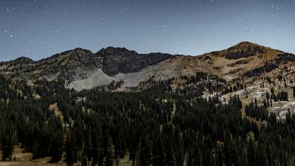 Alta: Alta (alta.com)
