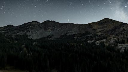 Alta: Alta (alta.com)