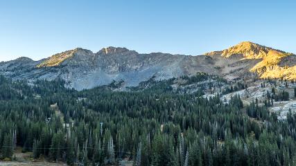 Alta: Alta (alta.com)