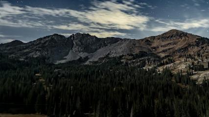 Alta: Alta (alta.com)