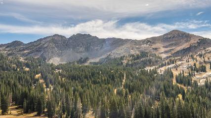 Alta: Alta (alta.com)