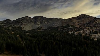 Alta: Alta (alta.com)