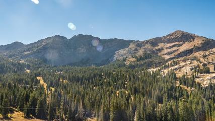 Alta: Alta (alta.com)