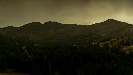 Alta: Alta (alta.com)